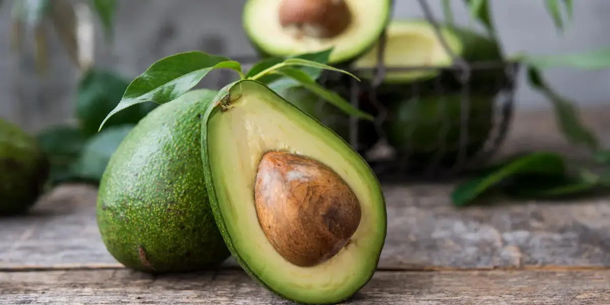 Daily Avocado Consumption Fails to Boost Brain Health