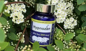 Hypnozan: Britain’s Rising Sleep Solution
