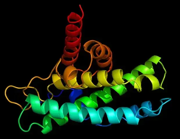Mitochondrial Protein Deficiency Linked to Increased Fat Consumption and Obesity