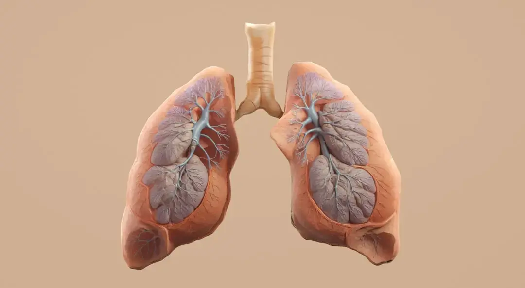 Predicting Lung Cancer Years in Advance