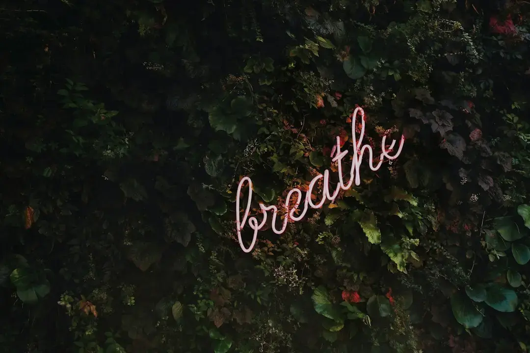 Breathing Exercises Show Promise in Reducing Addiction Cravings