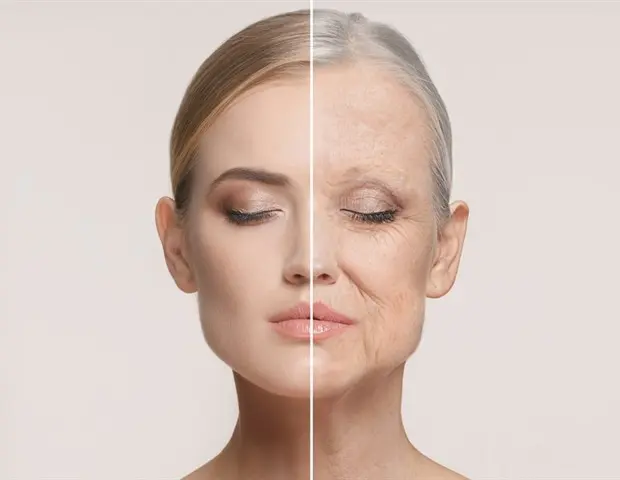 Multiple Eating Styles Slow Biological Aging