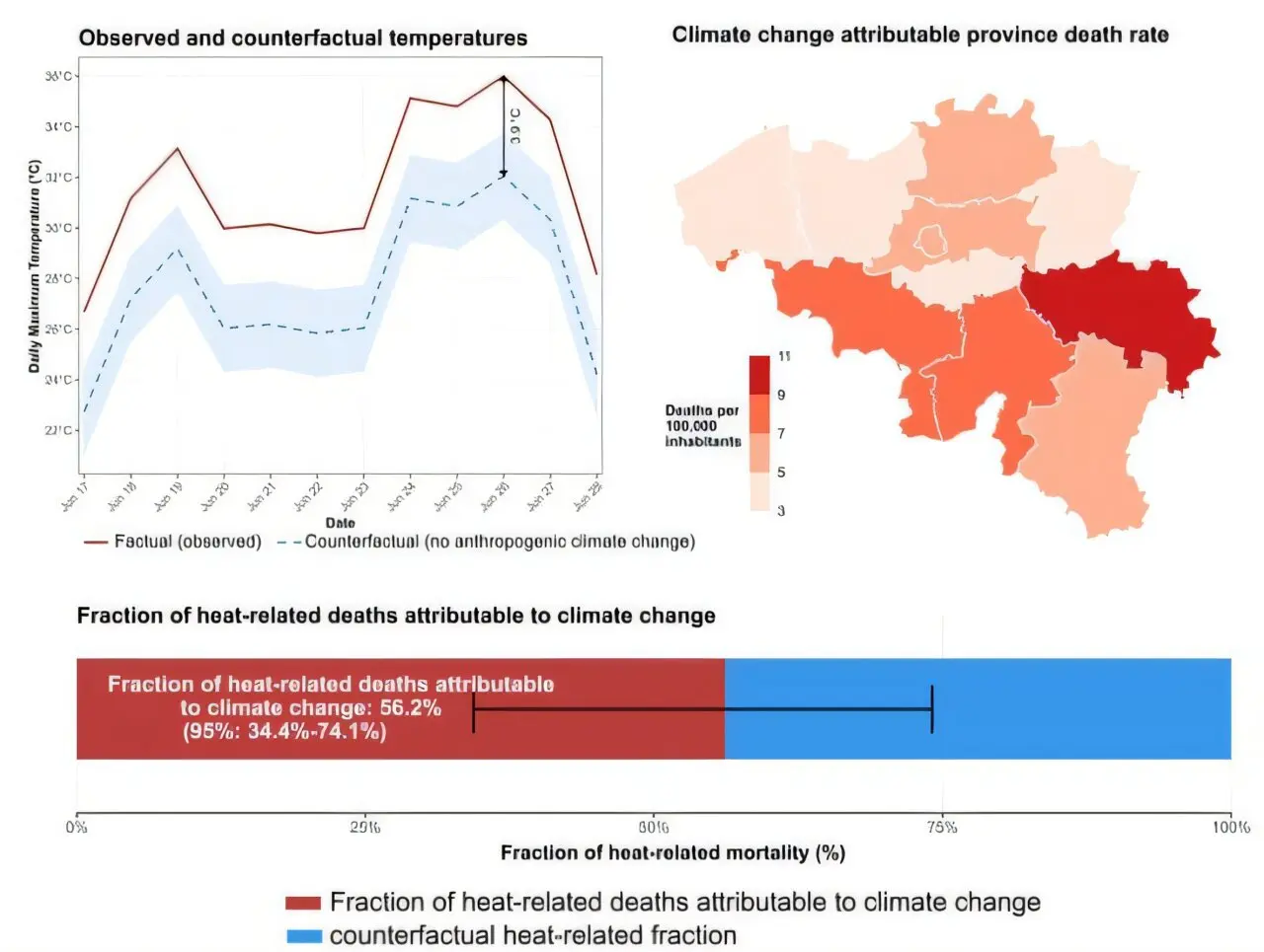 Heat deaths doubled in Belgium during the June 2026 heat wave