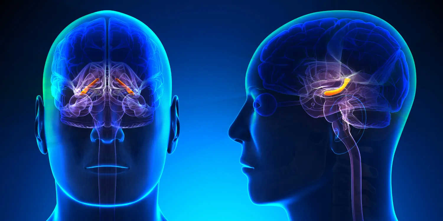 Brain replays motor skills during sleep without hippocampus involvement
