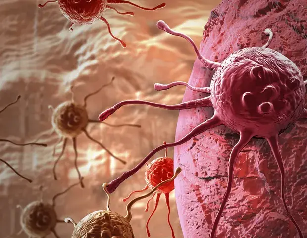Cancer Prevention Summit Seeks Wider Screening Access