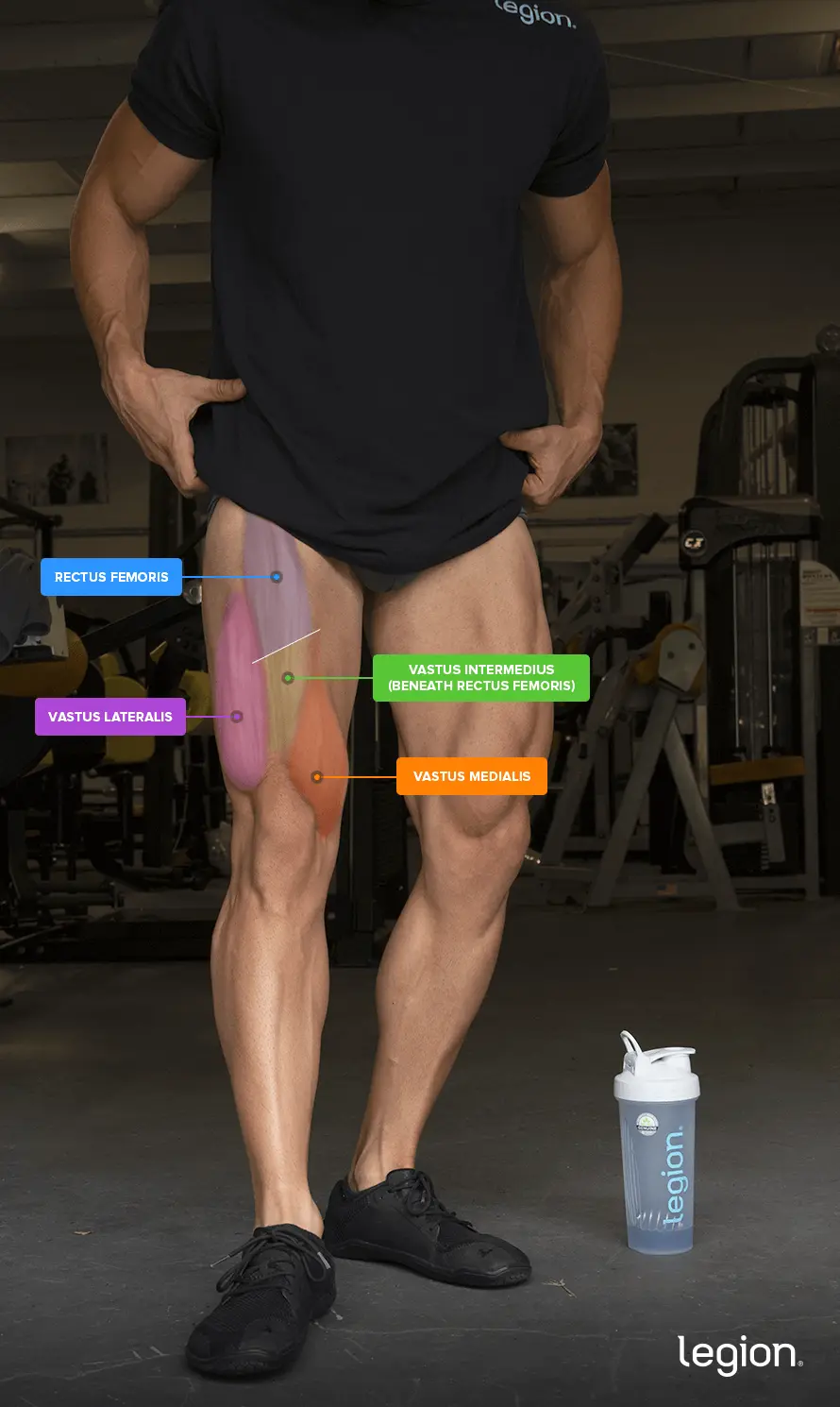 Front Squats: The Key to Stronger Quads and Glutes