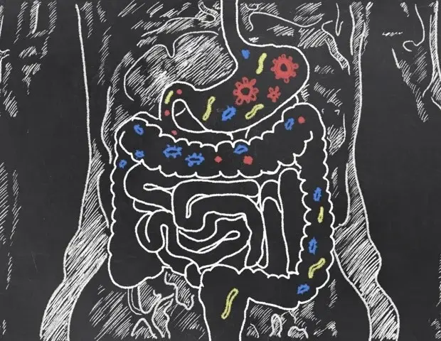 Gut Microbiome Differences May Explain Varied Sleep Responses to Hydrogen Supplementation