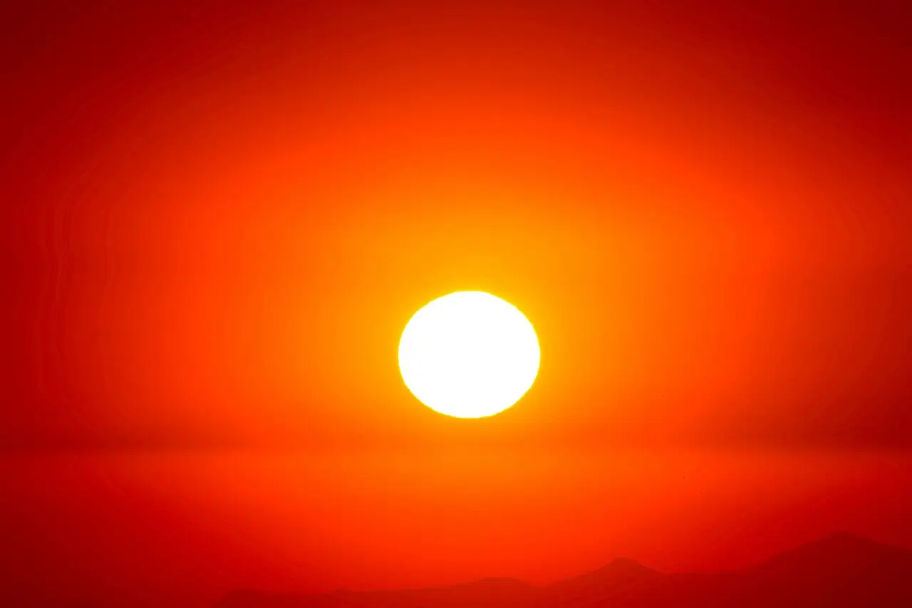 Warm Temperatures May Reduce Hunger Yet Still Lead to Weight Gain in Animal Models