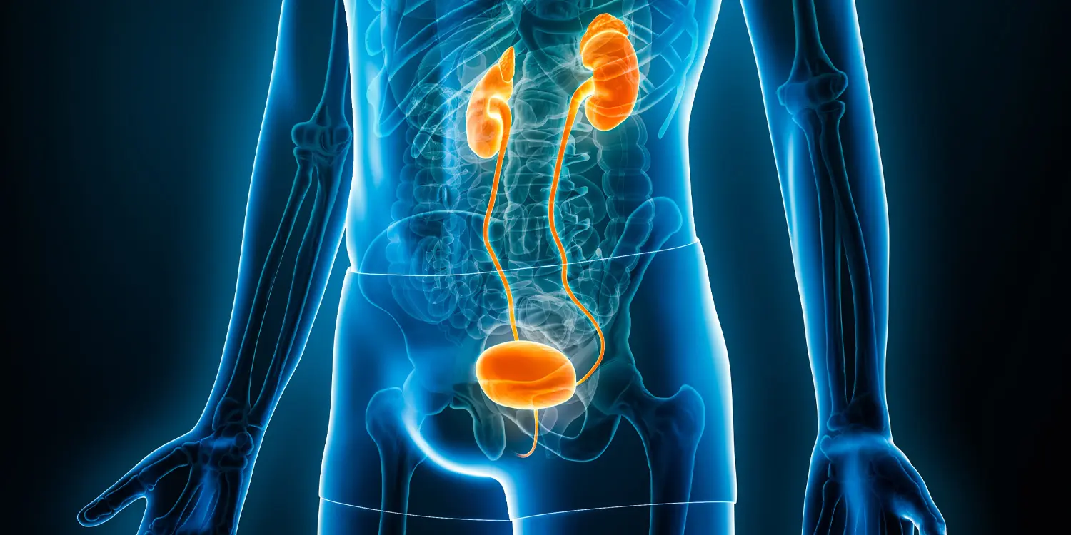 Weight‑Loss Drugs Lower Vasopressin, Disrupting Body‑Fluid Balance